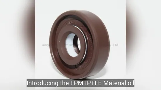 FPM+PTFE Material Oil Seals with 03931063-315 Part Number for Hydraulic Pump or Hydraulic Motors